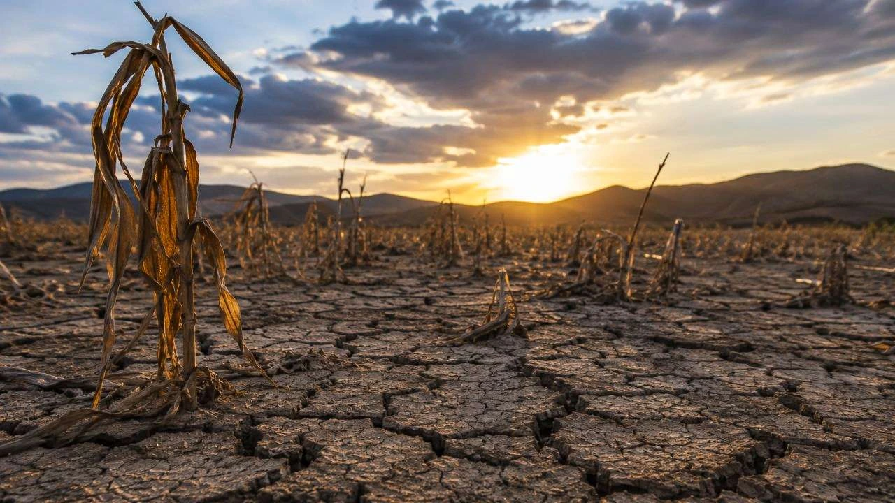 El Niño pone otra vez a Honduras frente al fantasma del hambre Imagen de El Niño pone otra vez a Honduras frente al fantasma del hambre