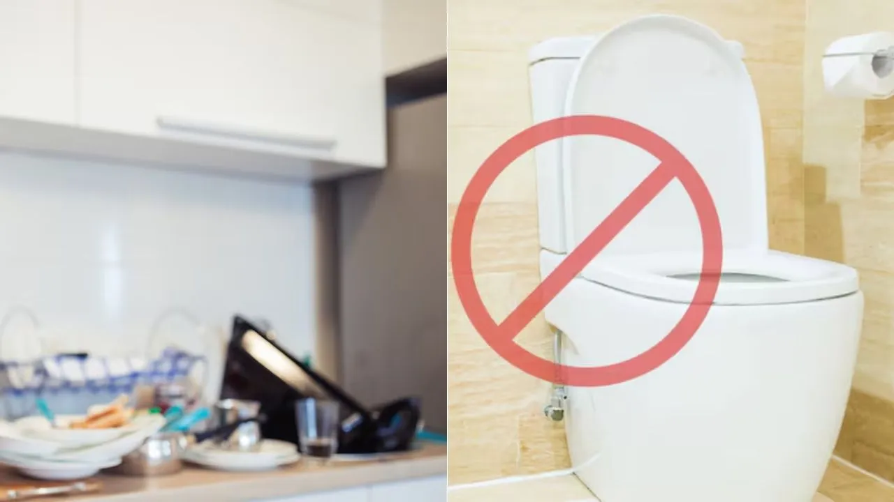 Este es el electrodomestico que almanecena más bacterias que el inodoro Imagen de Este es el electrodomestico que almanecena más bacterias que el inodoro