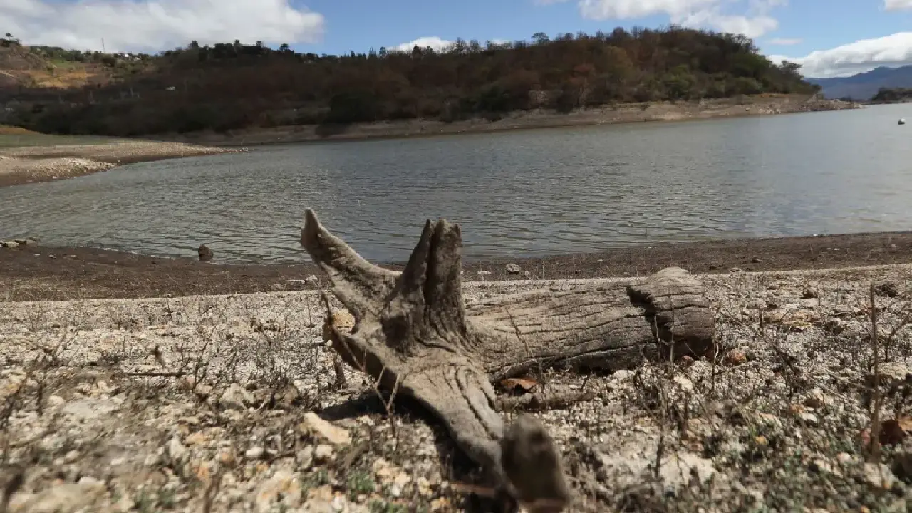 Fenómeno El Niño se adelanta y amenaza con sequía extrema en Honduras Imagen de Fenómeno El Niño se adelanta y amenaza con sequía extrema en Honduras