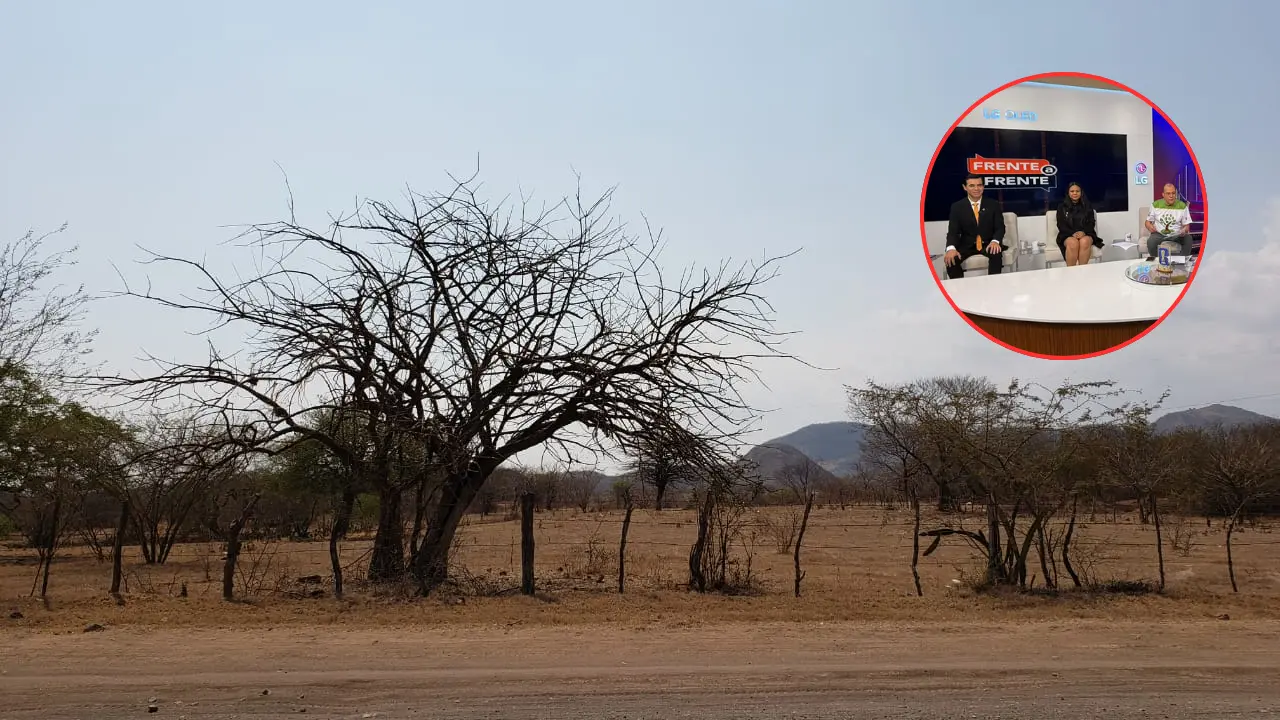¿Cómo el fenómeno de El Niño está enfermando a los hondureños? Imagen de ¿Cómo el fenómeno de El Niño está enfermando a los hondureños?