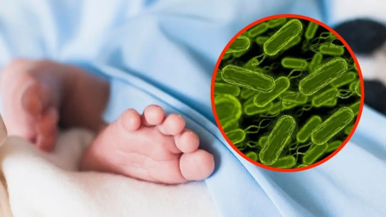 Mueren gemelos por tosferina en Tegucigalpa; suman al menos 13 fallecidos en 2026 Imagen de Mueren gemelos por tosferina en Tegucigalpa; suman al menos 13 fallecidos en 2026