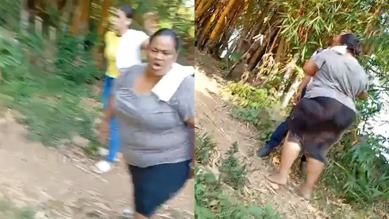 'Desaparécete, güirro': graban a hondureña agrediendo a menor frente a maestro Imagen de 'Desaparécete, güirro': graban a hondureña agrediendo a menor frente a maestro