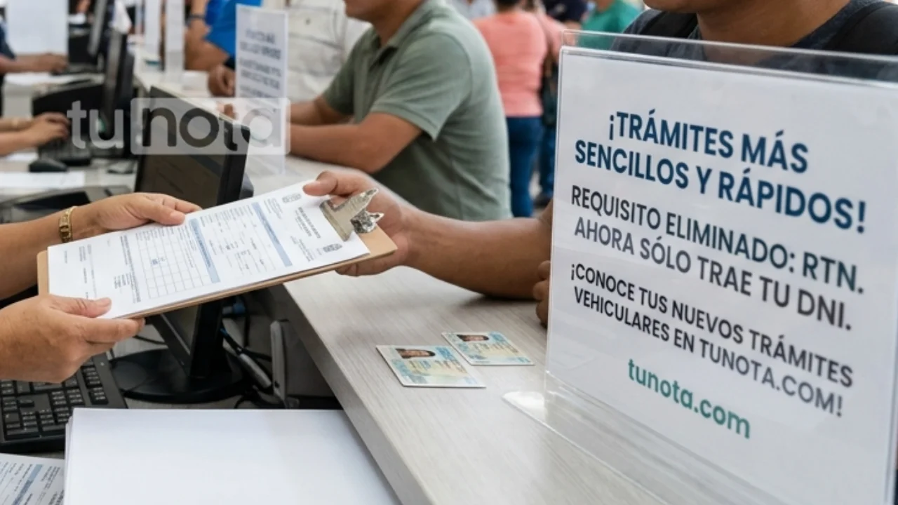 Imagen de ¿Ya no es necesario el RTN? El IP cambia requisitos para trámites