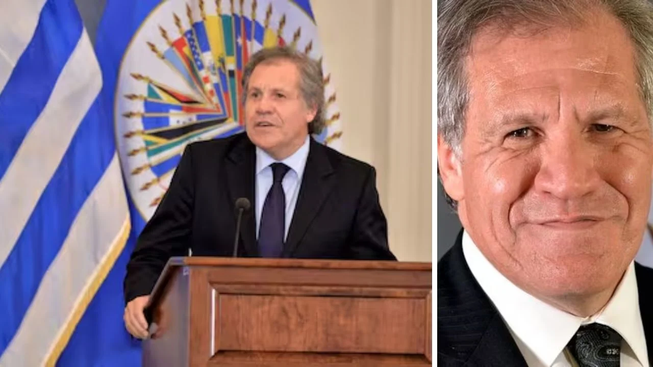 Luis Almagro quién es: Biografía, Wikipedia, edad y vida personal Imagen de Luis Almagro quién es: Biografía, Wikipedia, edad y vida personal