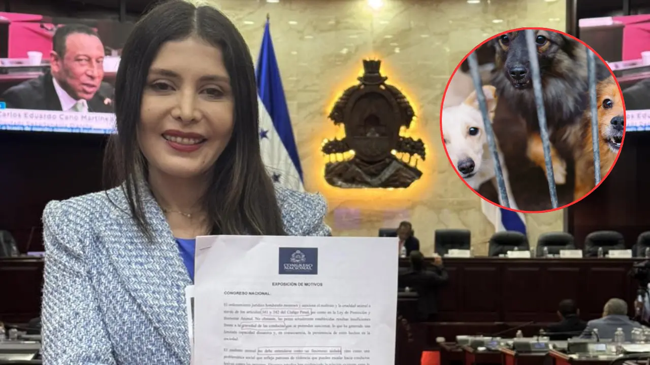 Imagen de Iroshka Elvir propone endurecer penas por maltrato animal en Honduras