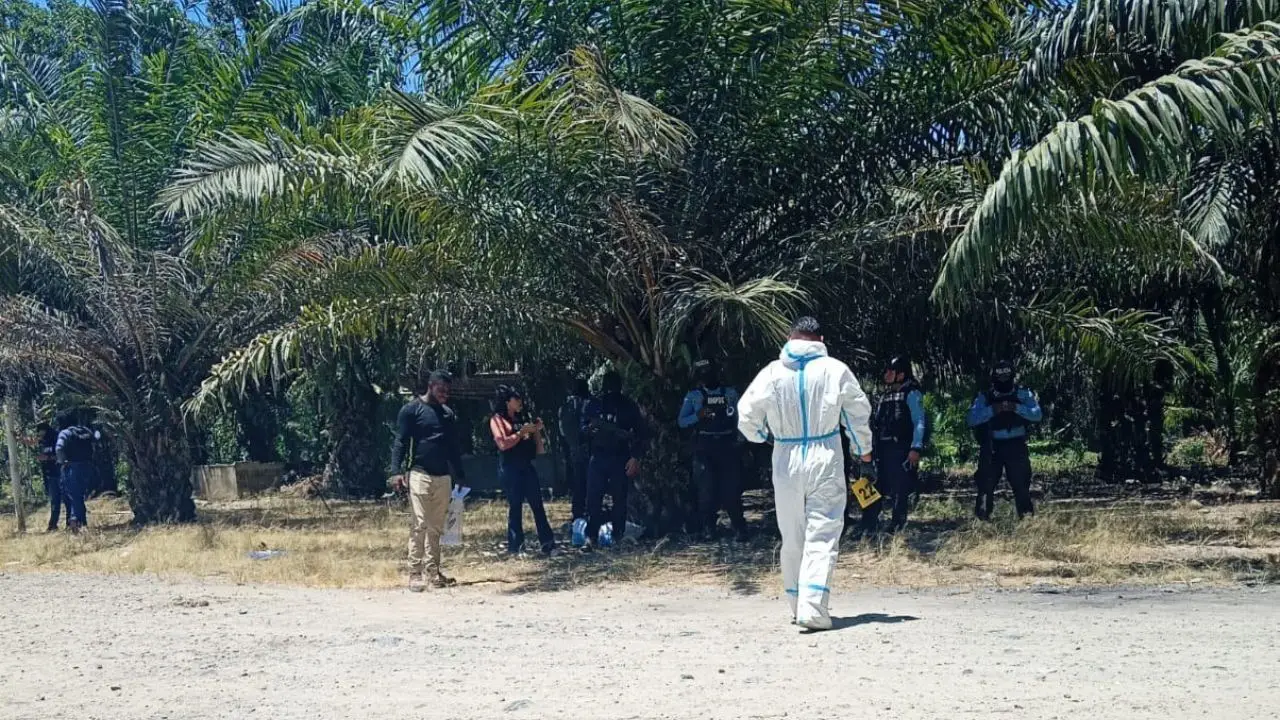 Masacres en Honduras suman ya 66 víctimas en lo que va de 2026 Imagen de Masacres en Honduras suman ya 66 víctimas en lo que va de 2026