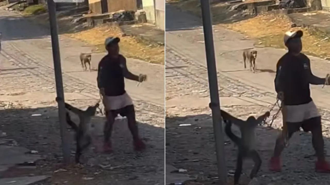 Captan a hombre paseando un mono por calles de Santa Rita, Yoro Imagen de Captan a hombre paseando un mono por calles de Santa Rita, Yoro