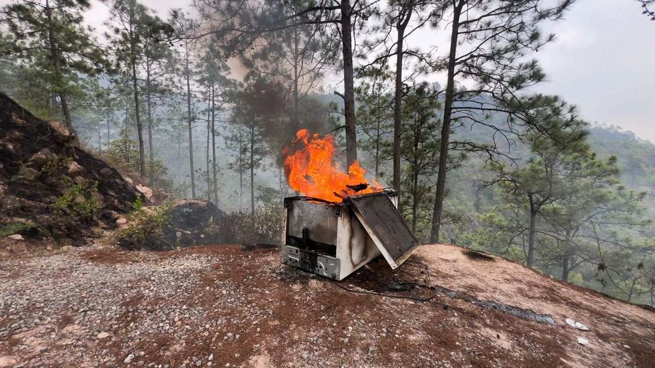 Ni las huellas sobrevivieron: el horror de El Cimarrón sigue sin nombres Imagen de Ni las huellas sobrevivieron: el horror de El Cimarrón sigue sin nombres