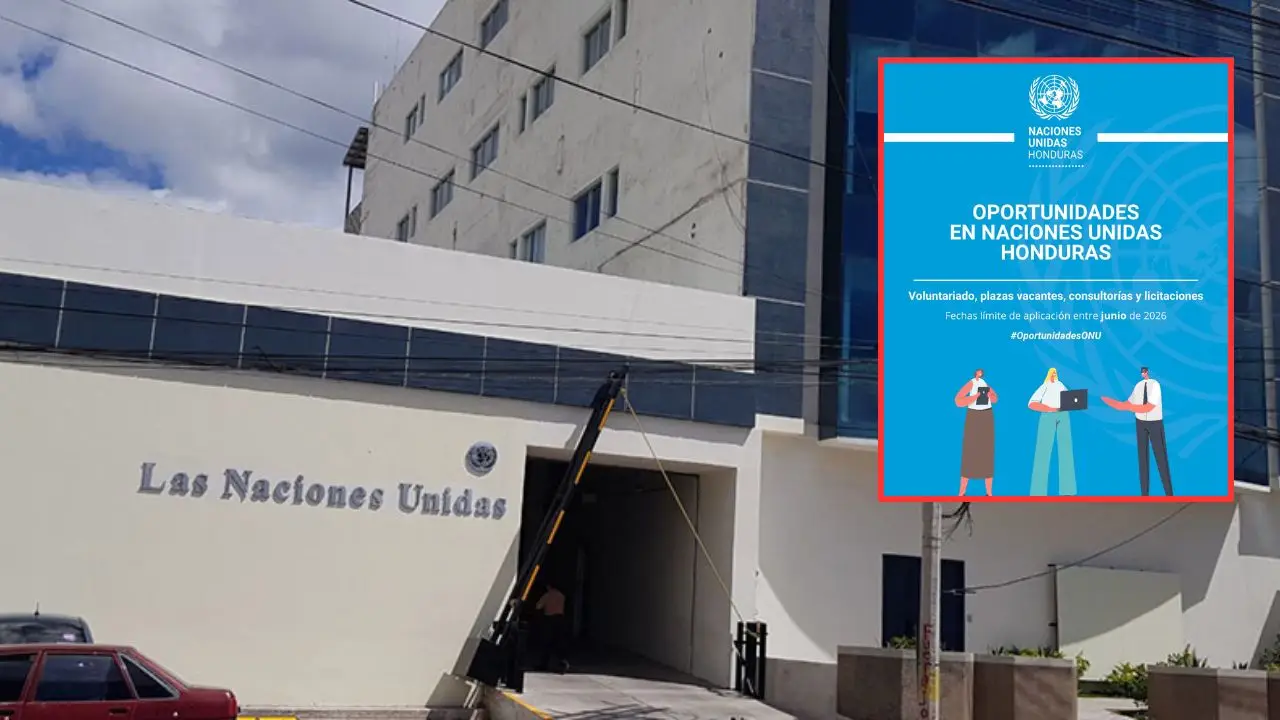 Imagen de ONU abre vacantes para hondureños en junio de 2026: plazas y cómo aplicar