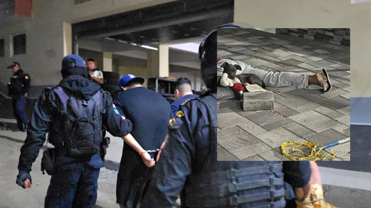 Imagen de Mascota de hondureño muerto permaneció junto a su cuerpo tras ataque sicarial