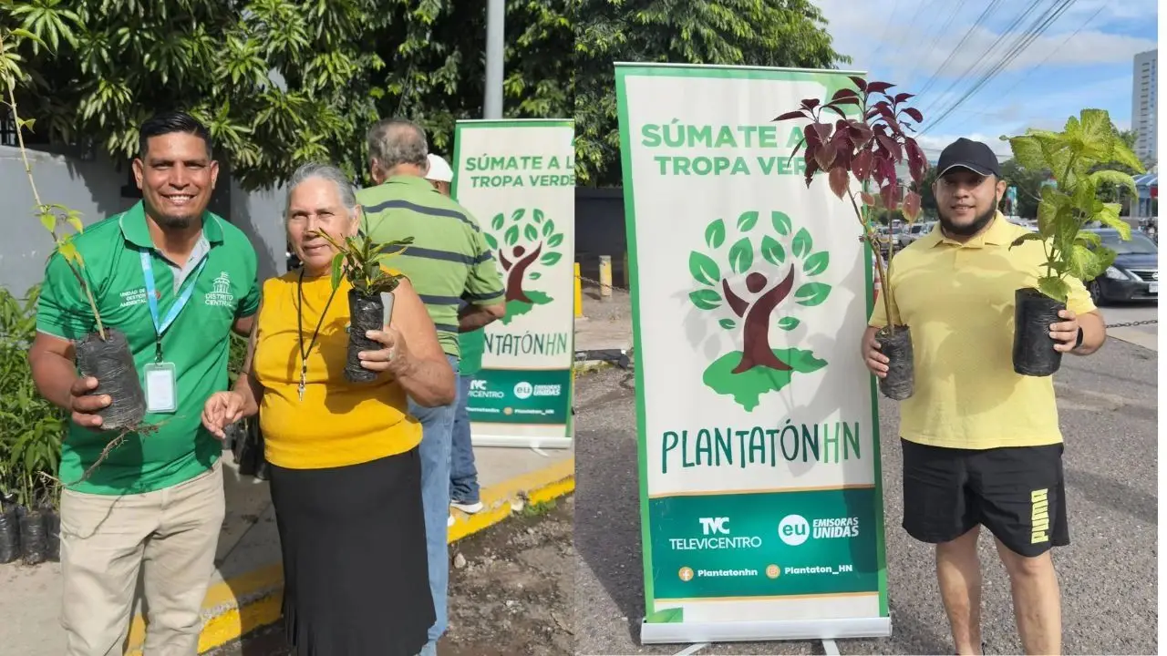 Plantatón HN supera 57 millones de árboles sembrados en Honduras Imagen de Plantatón HN supera 57 millones de árboles sembrados en Honduras