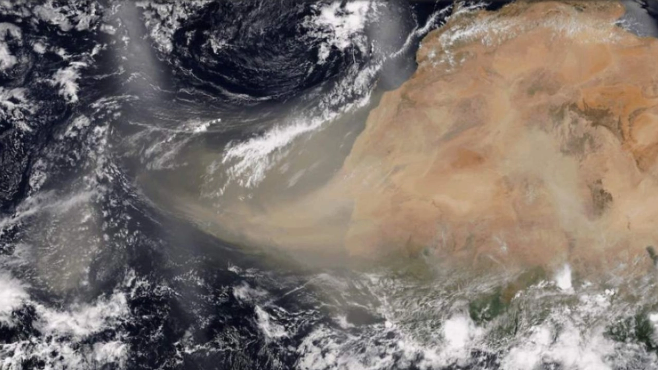 Polvo del Sahara en Honduras: así afectará la calidad del aire el fin de semana Imagen de Polvo del Sahara en Honduras: así afectará la calidad del aire el fin de semana