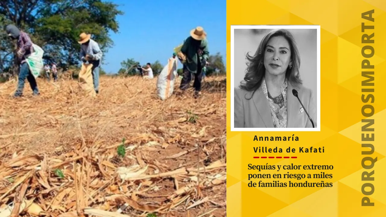 Imagen de Sequías y calor extremo ponen en riesgo a miles de familias hondureñas