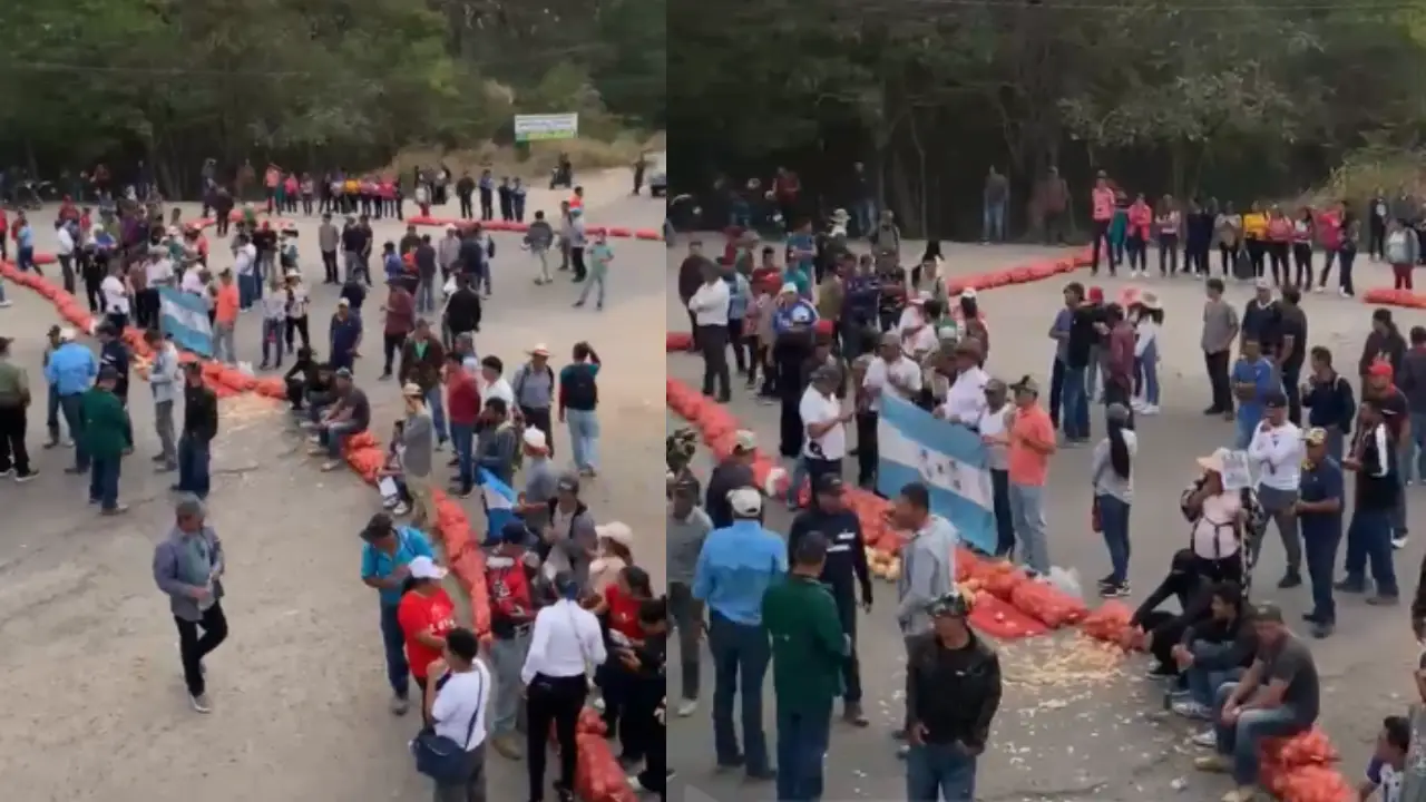 ¡10 millones de libras de cebolla podrían perderse! Productores bloquean Zamorano Imagen de ¡10 millones de libras de cebolla podrían perderse! Productores bloquean Zamorano