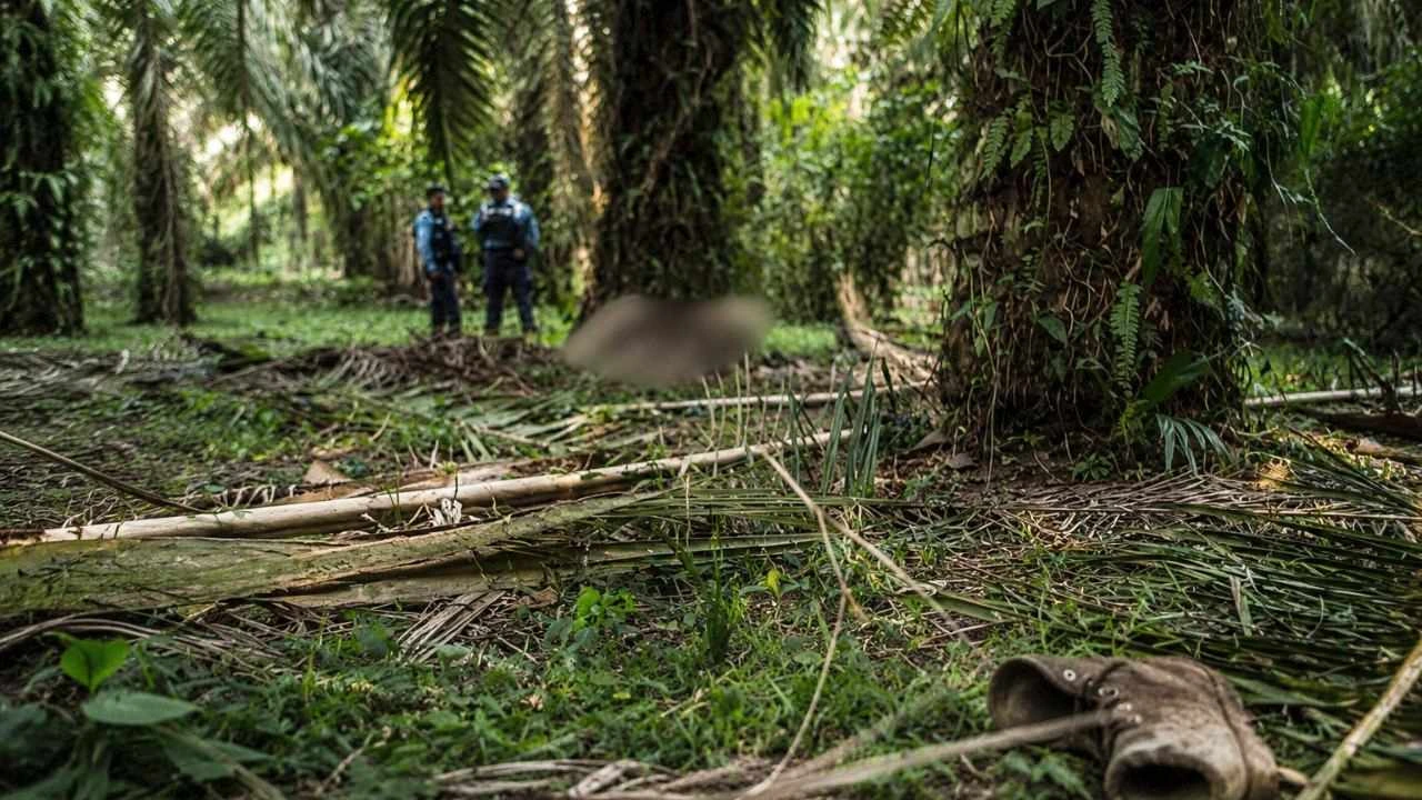 Imagen de Rigores: sobrevivieron a desalojos y fuego, pero no escaparon a la muerte