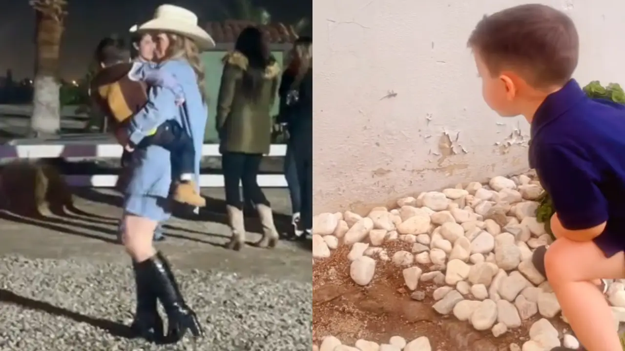Imagen de Emotivos videos que Roxana dedicaba a su hijo, quien murió olvidado en carro