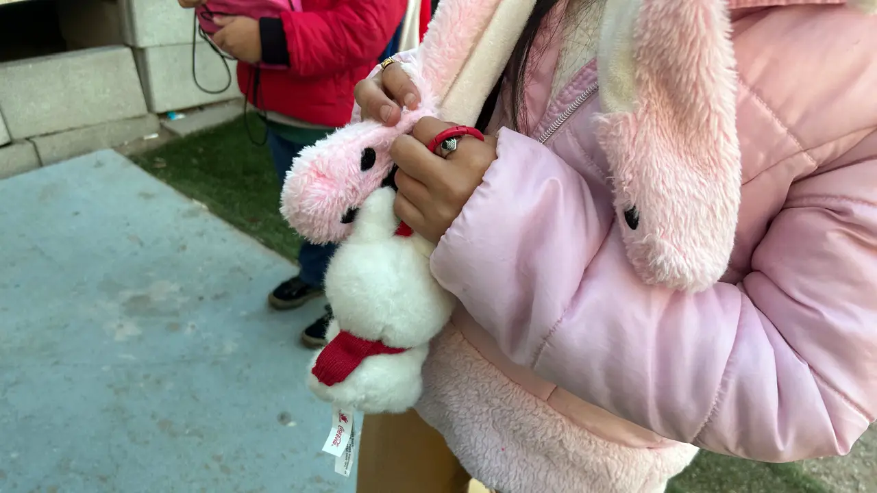Imagen de Menores hondureños entre los más afectados por separación de padres en EE. UU.