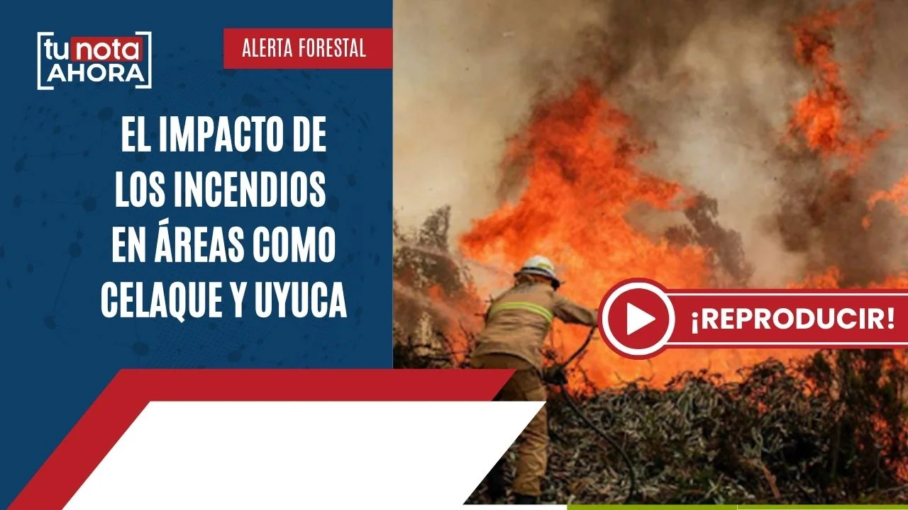 Imagen Principal de Nota: TuNota Ahora: Avance para declarar terroristas a maras y bosques incendiados