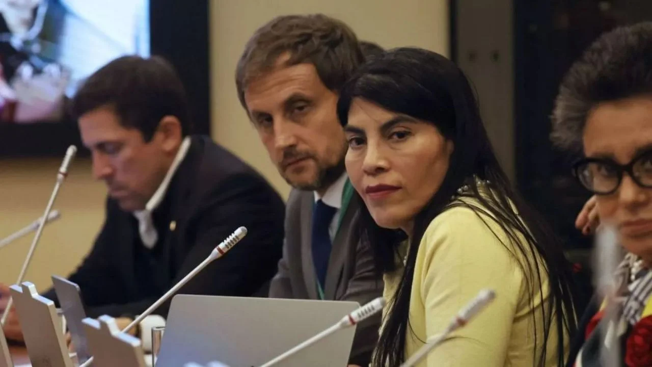 Rafael Araos y Ximena Lincolao