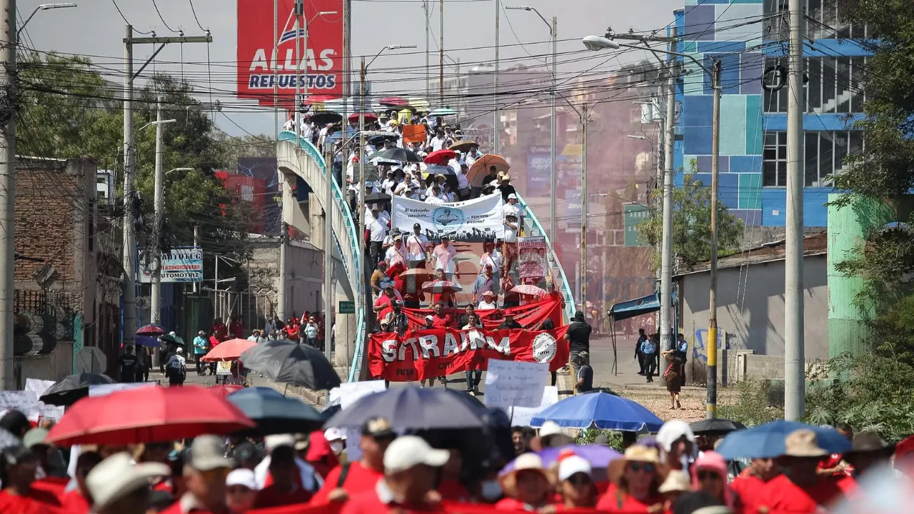 Imagen de Galería