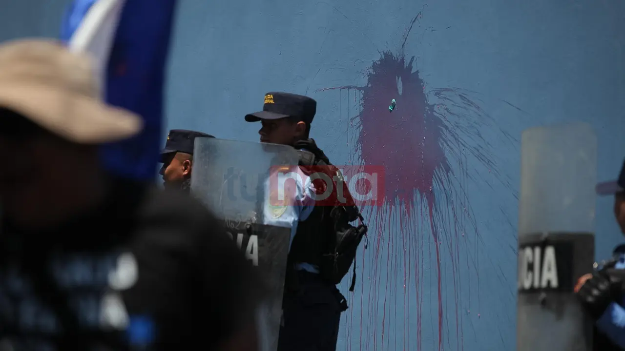 Imagen de Galería