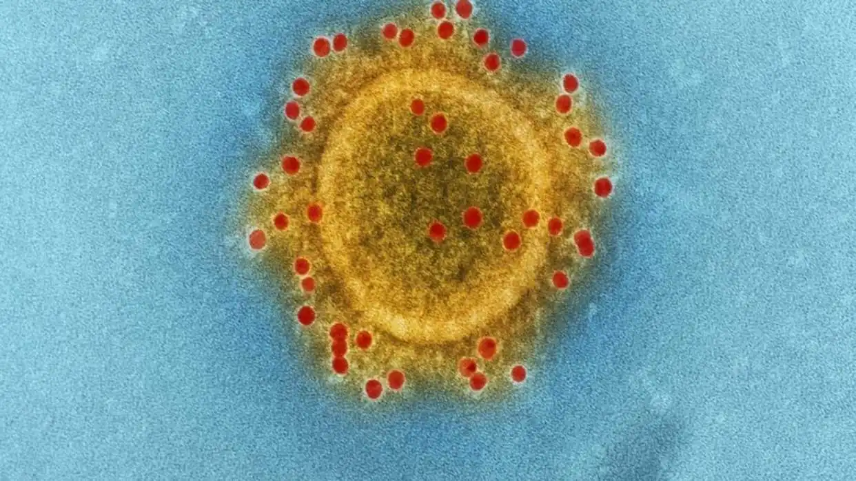 Imagen de célula cancerigena. 