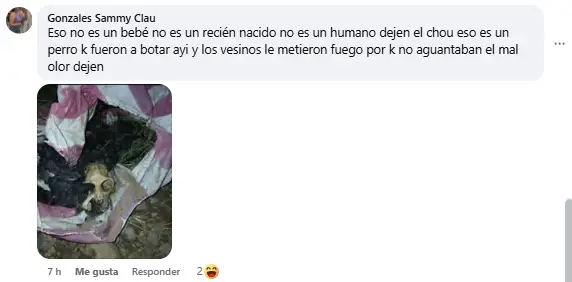 Mensaje sobre el supuesto hallazgo
