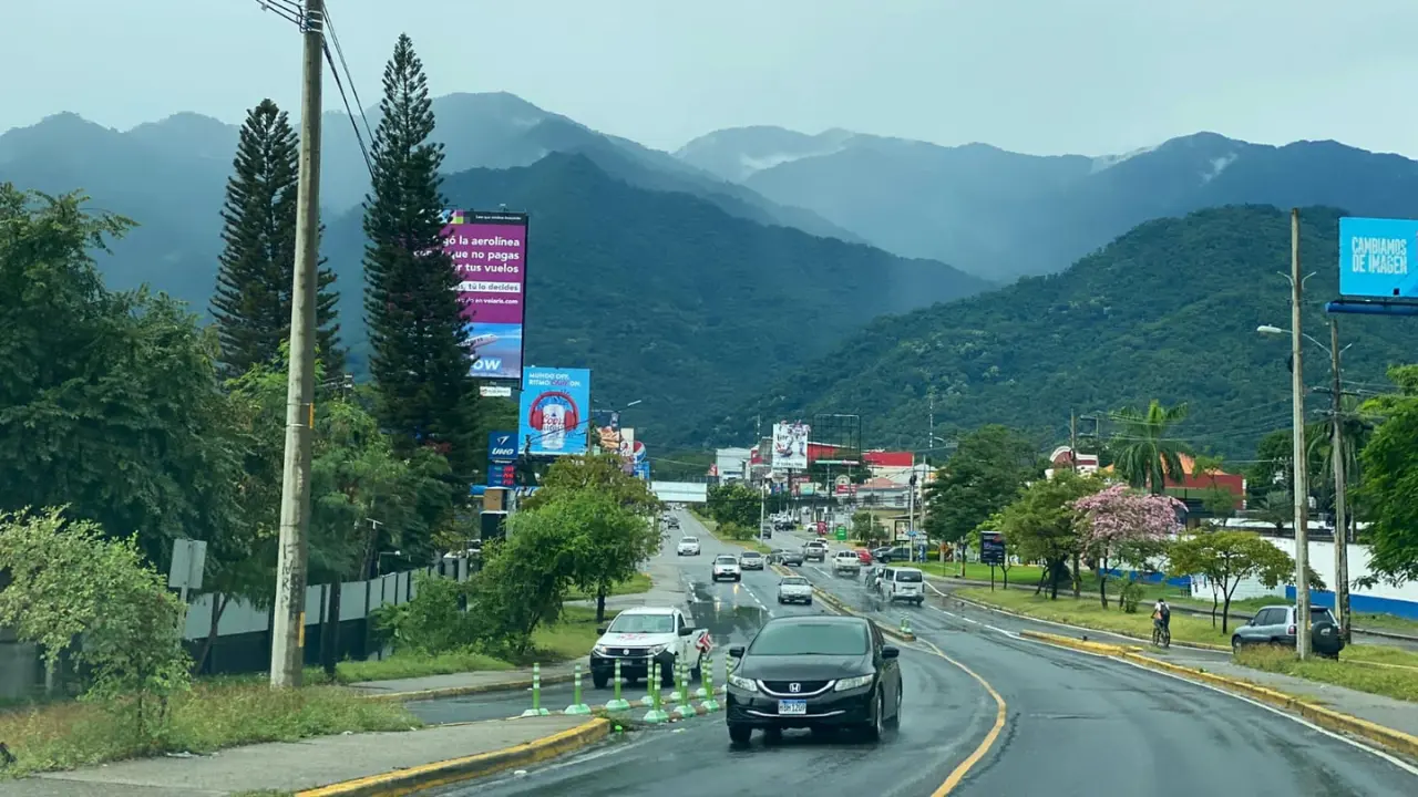 Varios carros en un bulevar