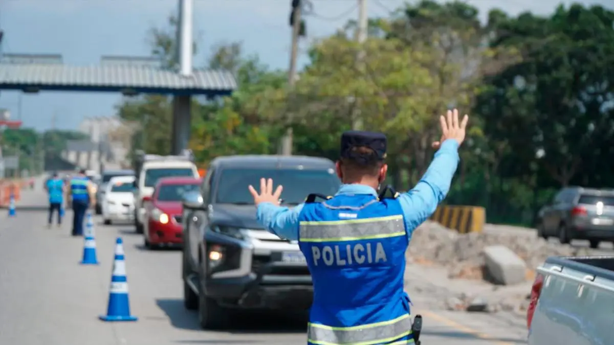 Liciencias de conducir