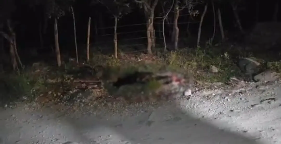 escena del crimen del joven en Lempira