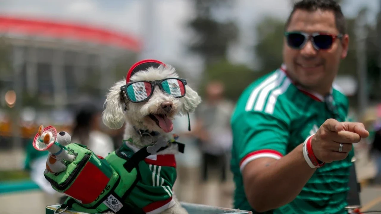 Imagen de Galería