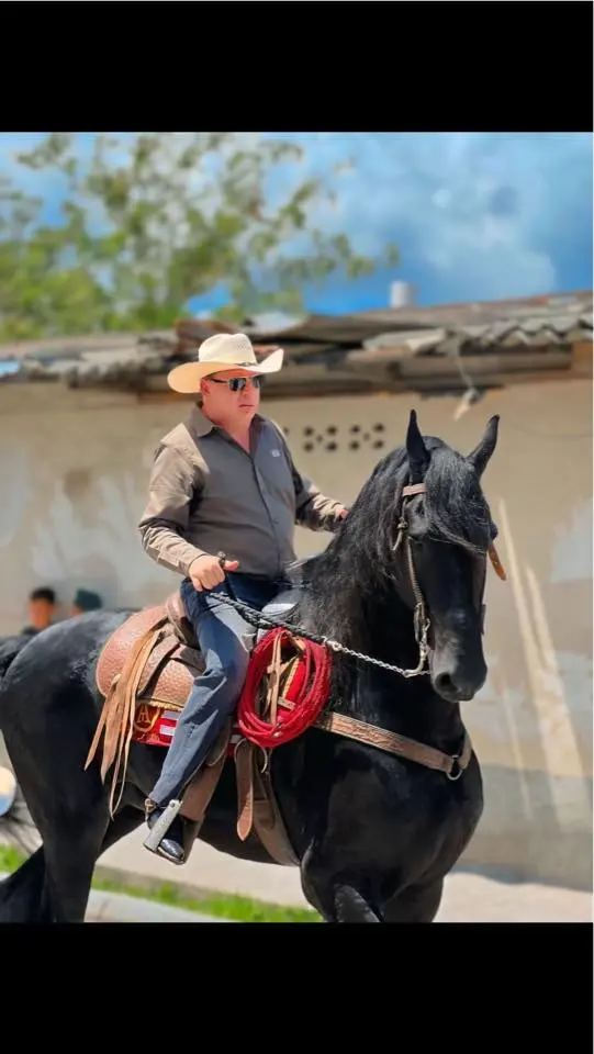 DIPUTADO EN CABALLO