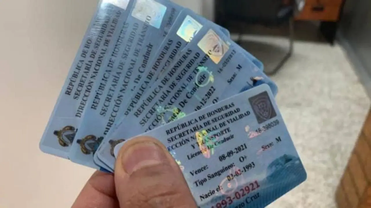 Licencias de conducir