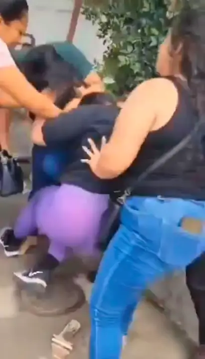 Pelea escuela