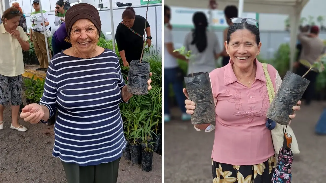 Plantatón HN