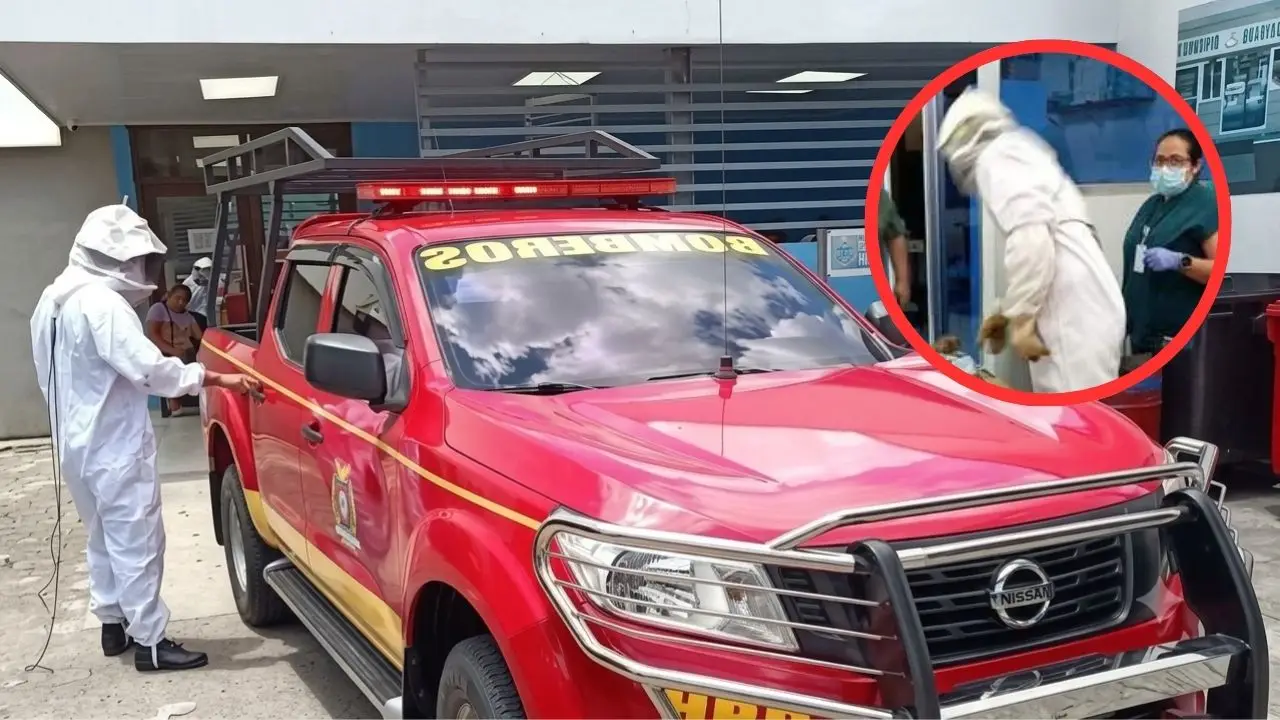 Abuelo muere tras ser atacado por un enjambre de abejas en La Lima, Cortés Imagen de Abuelo muere tras ser atacado por un enjambre de abejas en La Lima, Cortés