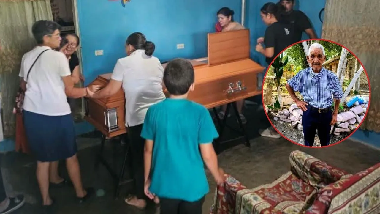 '¡Fuego, fuego!': Anciano muere electrocutado mientras podaba un árbol Imagen de '¡Fuego, fuego!': Anciano muere electrocutado mientras podaba un árbol