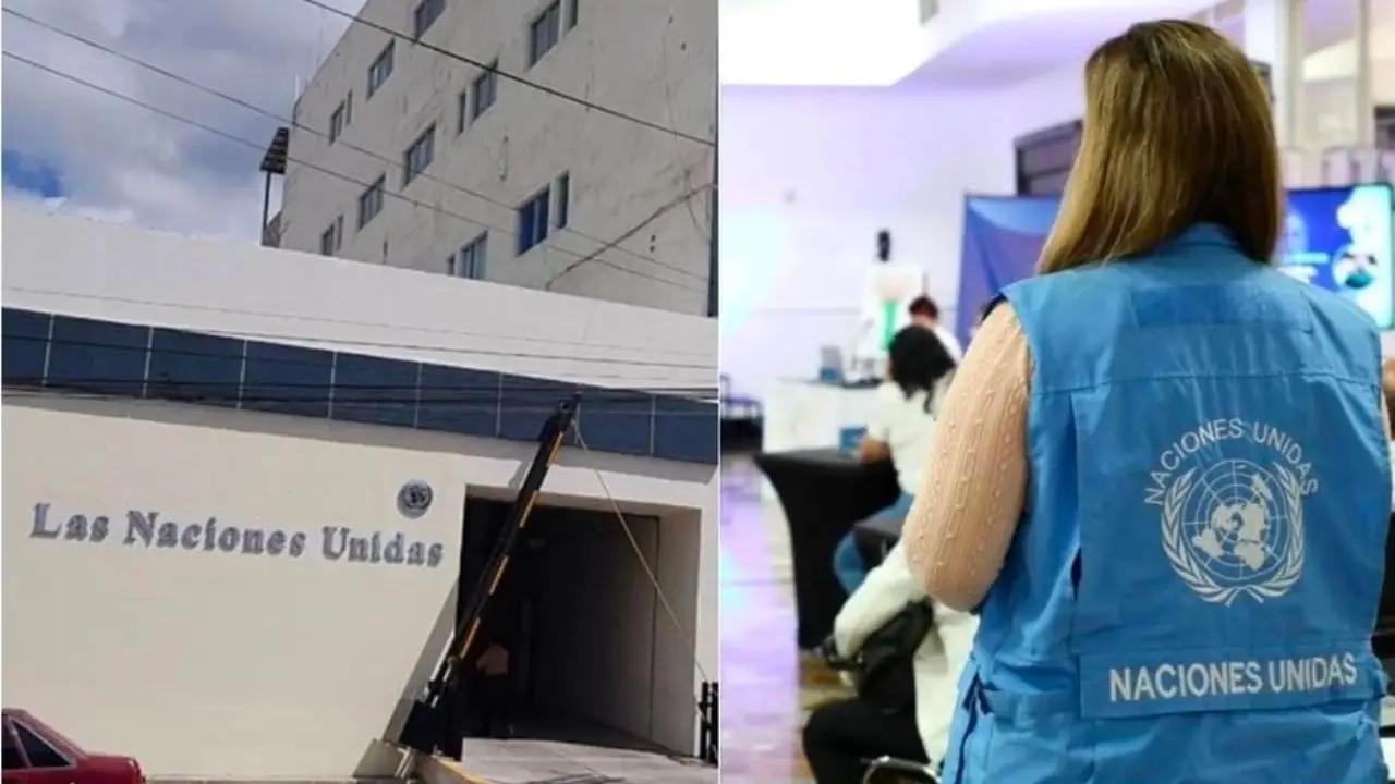¿Busca empleo? ONU Honduras anuncia plaza de trabajos: así puedes aplicar Imagen de ¿Busca empleo? ONU Honduras anuncia plaza de trabajos: así puedes aplicar