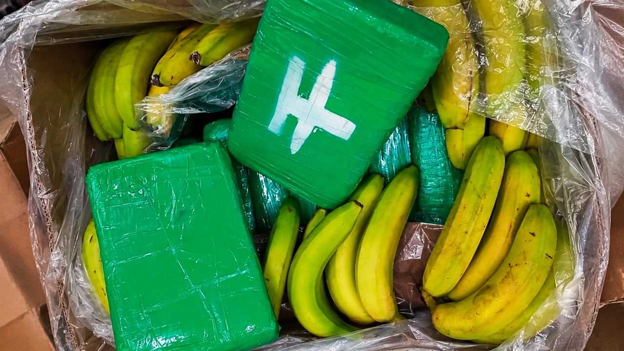 Bananos por fuera, cocaína por dentro: la ruta que pasó por Honduras Imagen de Bananos por fuera, cocaína por dentro: la ruta que pasó por Honduras