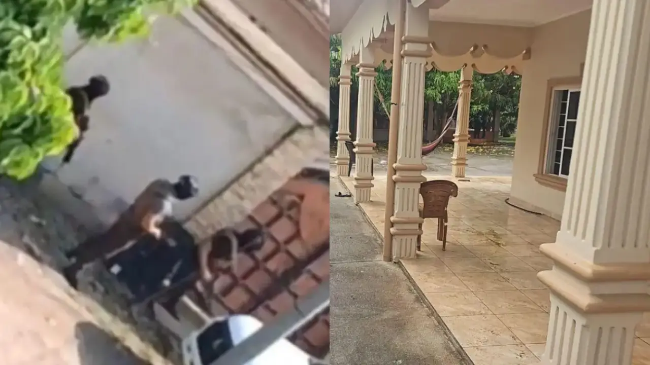 ¿Fueron entregados? DPI confirma informantes en asesinato de policías en Corinto Imagen de ¿Fueron entregados? DPI confirma informantes en asesinato de policías en Corinto