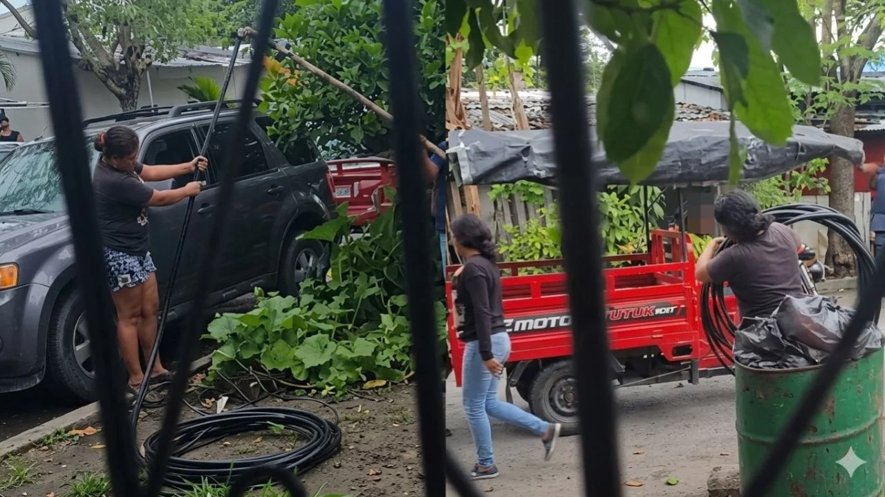 Imagen de 'Es ilegal aquí y en China': graban a mujeres presuntamente robando cables de un poste
