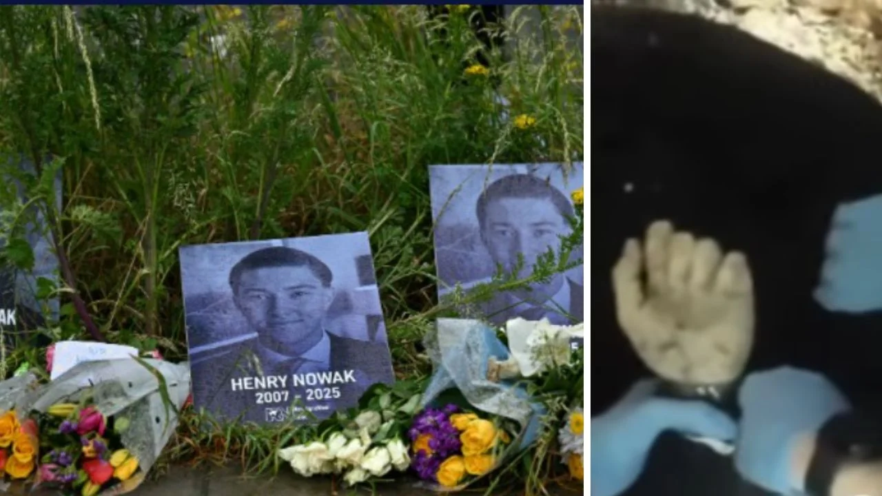 Henry Novak qué pasó: ¿Quién era, cómo y cuándo murió el estudiante? Imagen de Henry Novak qué pasó: ¿Quién era, cómo y cuándo murió el estudiante?