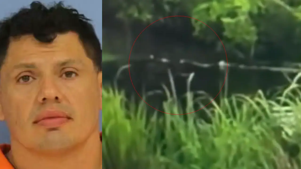 VIDEO: Hombre ebrio huye de la Policía y termina atacado por caimán Imagen de VIDEO: Hombre ebrio huye de la Policía y termina atacado por caimán