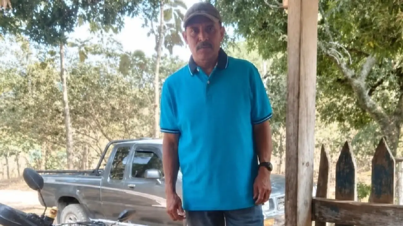 Hombre muere electrocutado mientras podaba árboles en Catacamas Imagen de Hombre muere electrocutado mientras podaba árboles en Catacamas