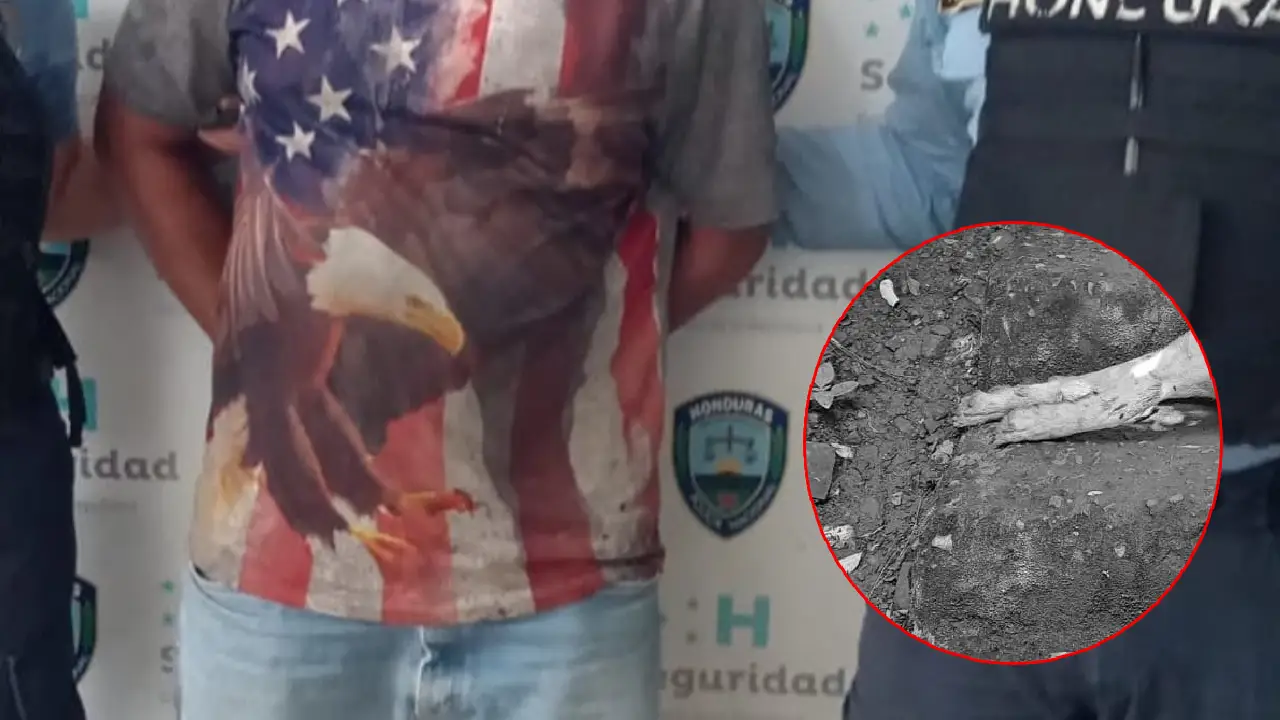Imagen de Esto pasará con hondureño que mató a disparos al perro de su vecina