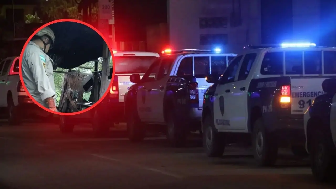 'Intentaban cortar unas ramas': madre e hijo mueren electrocutados en Tegucigalpa Imagen de 'Intentaban cortar unas ramas': madre e hijo mueren electrocutados en Tegucigalpa