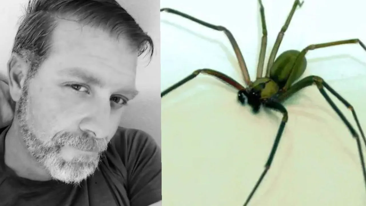 Jason Miller: ¿Qué le pasó? ¿Es verdad que lo mordió una araña venenosa? Imagen de Jason Miller: ¿Qué le pasó? ¿Es verdad que lo mordió una araña venenosa?