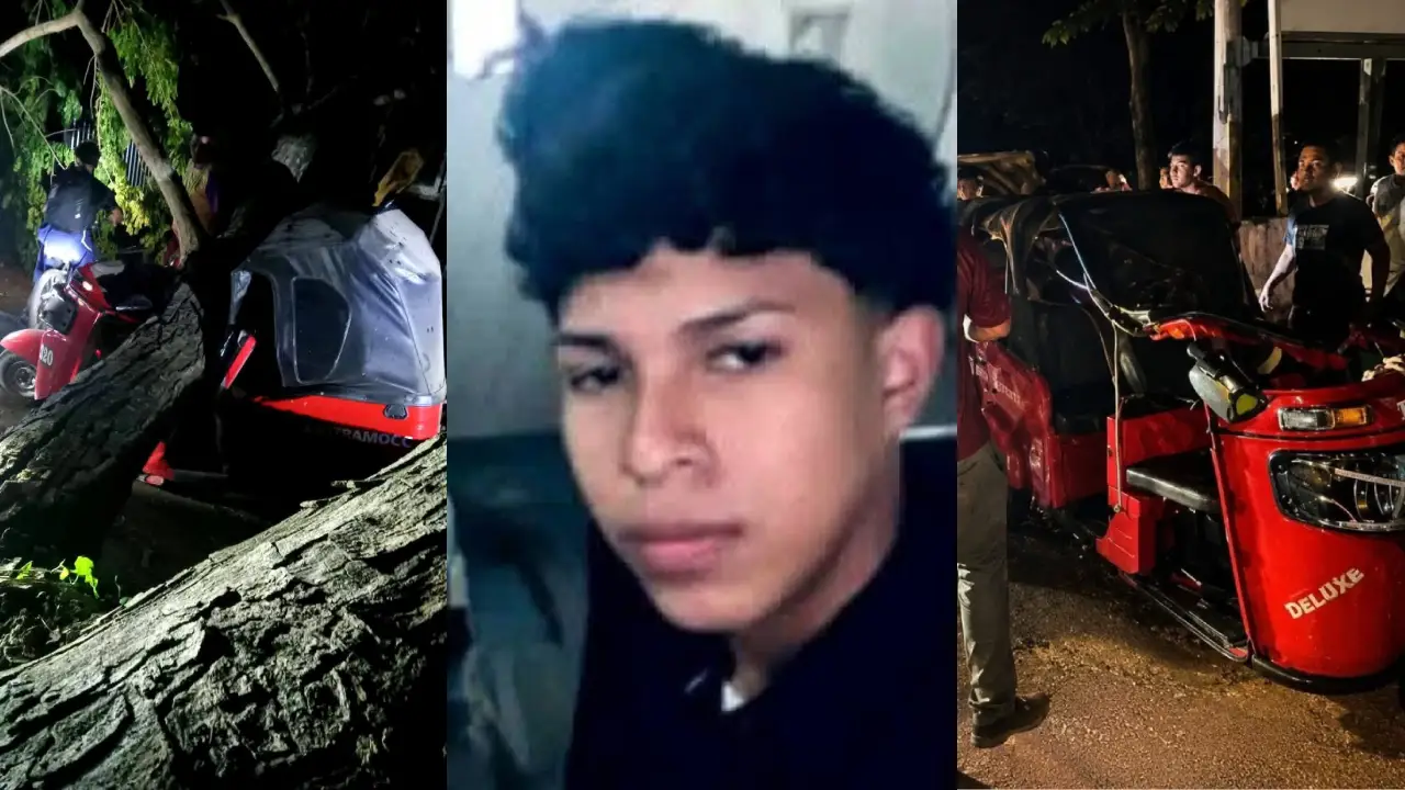 Impactantes imágenes: árbol cae sobre mototaxi y deja un joven muerto en Cofradía Imagen de Impactantes imágenes: árbol cae sobre mototaxi y deja un joven muerto en Cofradía