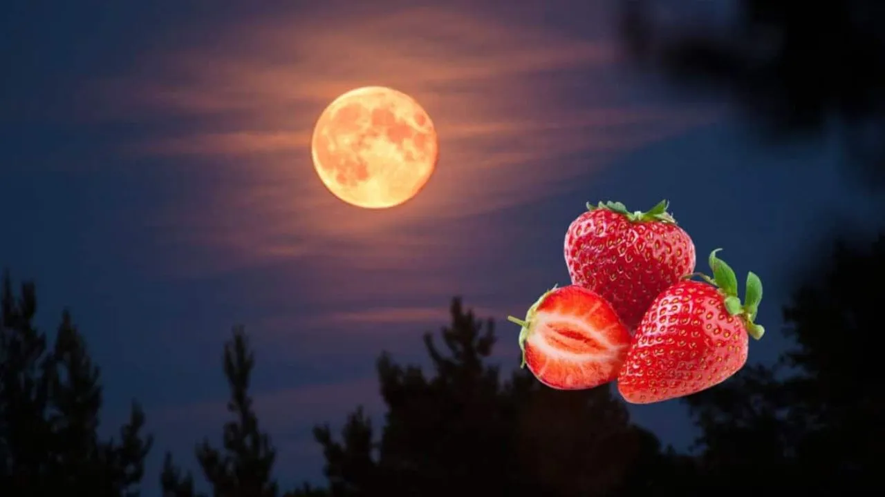 Luna llena de junio: fecha y cómo ver la Luna de Fresa en Honduras Imagen de Luna llena de junio: fecha y cómo ver la Luna de Fresa en Honduras
