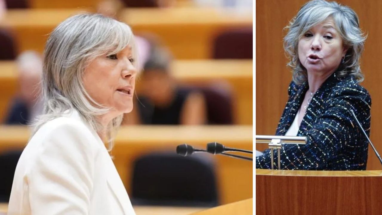 María José Ortega quién es: Qué le pasó a la senadora del PP y estado actual Imagen de María José Ortega quién es: Qué le pasó a la senadora del PP y estado actual